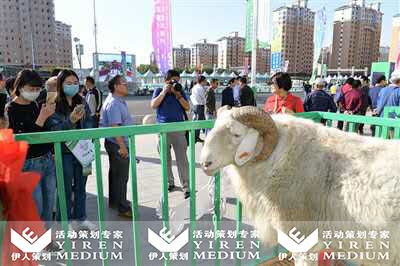 巴彦淖尔(2017)中国羊业发展大会